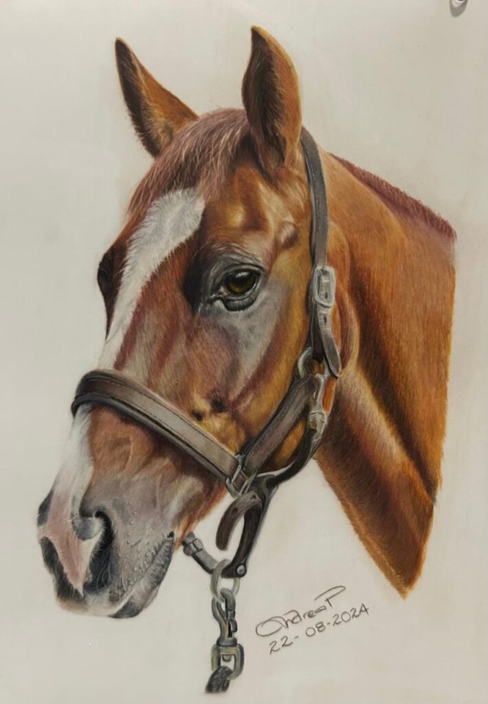 This was a Bonny Snowden tutorial on Grafix with various coloured pencils - what a super subject to draw :)